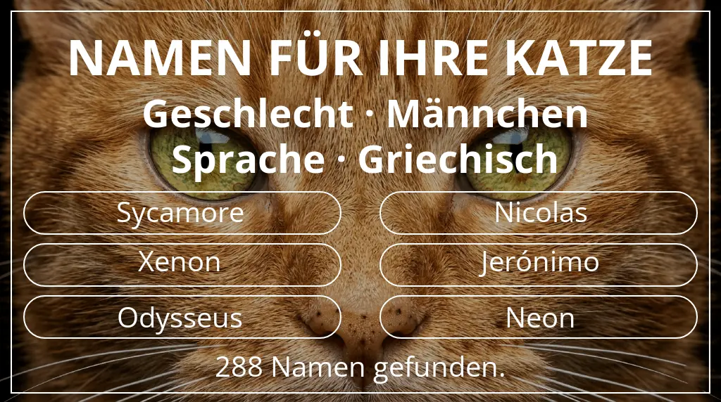 Katzennamen inspiriert von geschlecht männchen und sprache griechisch