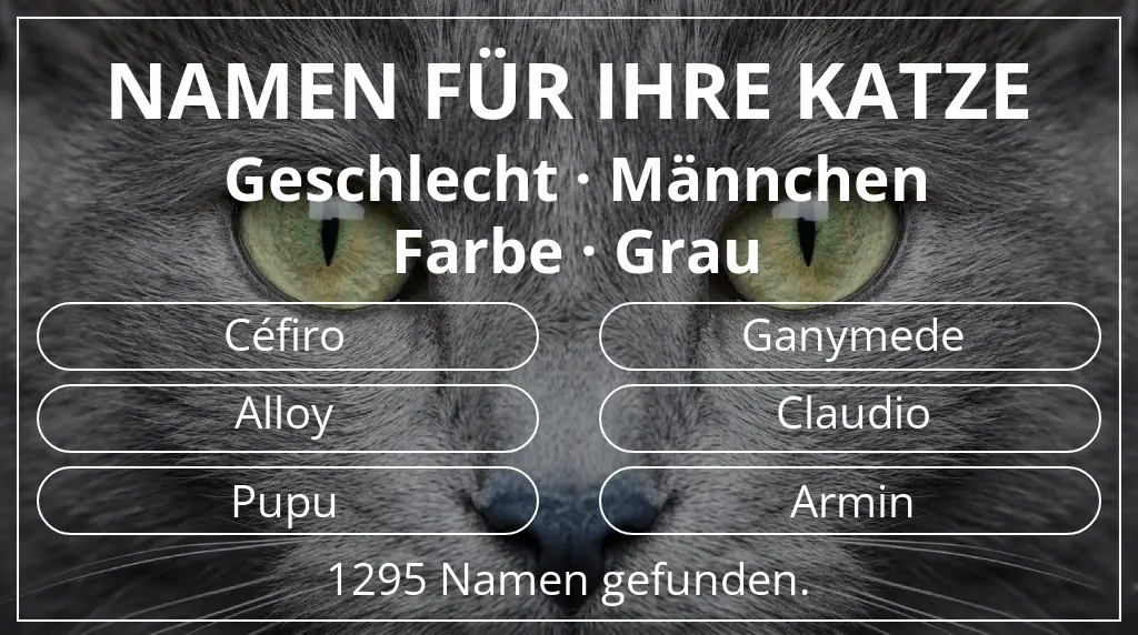 Namen für Katzen passend zu geschlecht männchen und farbe grau