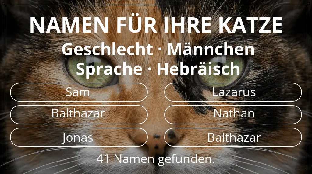 Namen für Katzen inspiriert von geschlecht männchen und sprache hebräisch