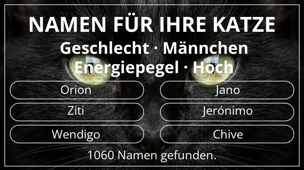 Katzennamen passend zu geschlecht männchen und energiepegel hoch