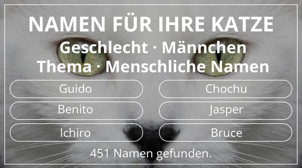 Katzennamen passend zu geschlecht männchen und thema menschliche namen