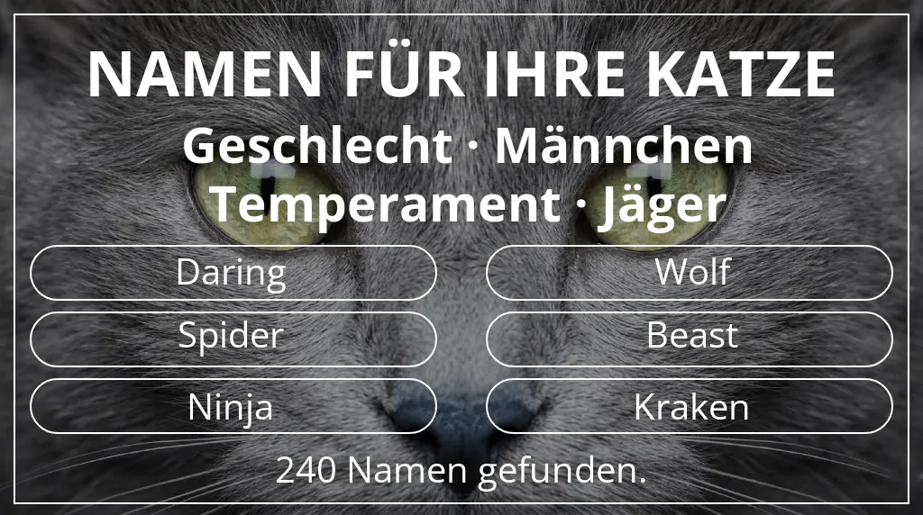 Katzennamen inspiriert von geschlecht männchen und temperament jäger