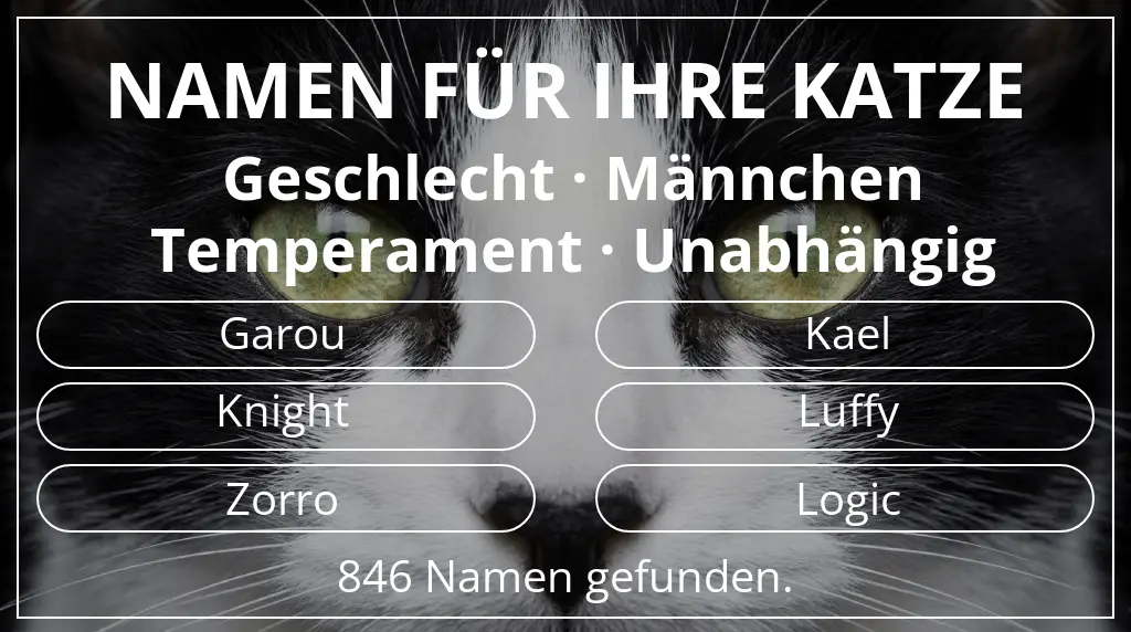 Namen für Katzen inspiriert von geschlecht männchen und temperament unabhängig