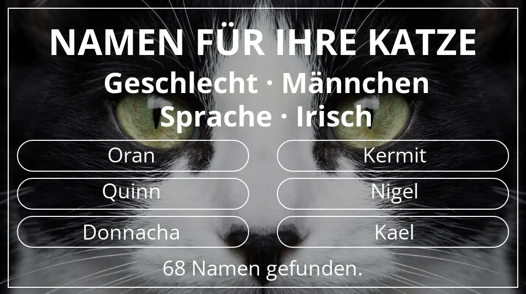 Namen für Katzen basierend auf geschlecht männchen und sprache irisch