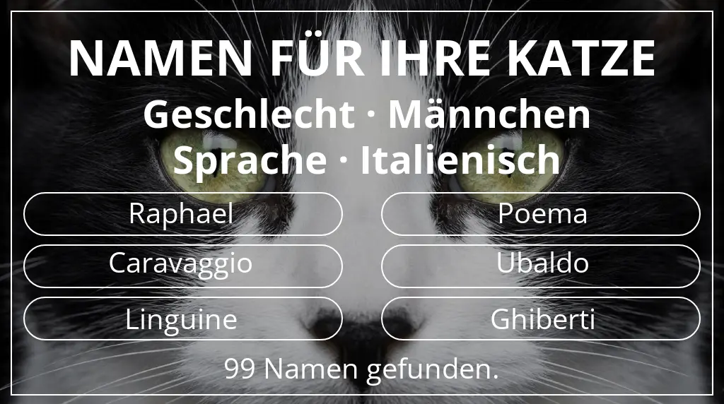 Namen für Katzen passend zu geschlecht männchen und sprache italienisch