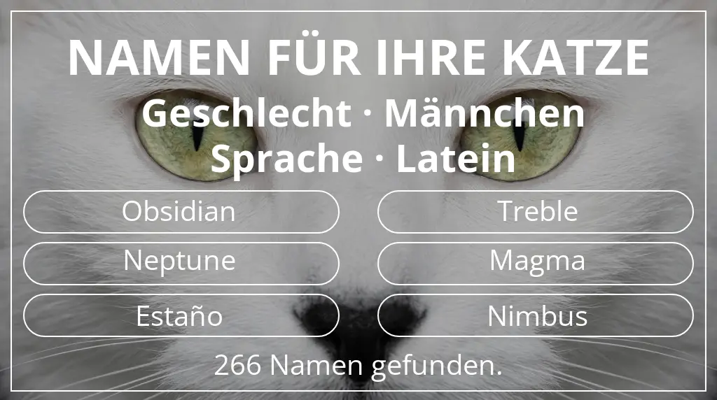 Namen für Katzen passend zu geschlecht männchen und sprache latein