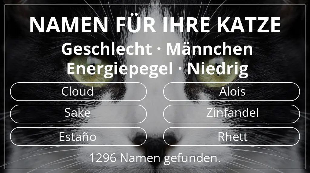 Katzennamen basierend auf geschlecht männchen und energiepegel niedrig