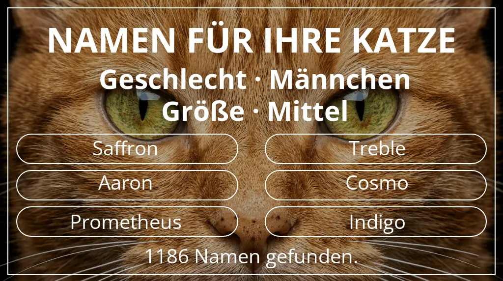 Katzennamen passend zu geschlecht männchen und größe mittel