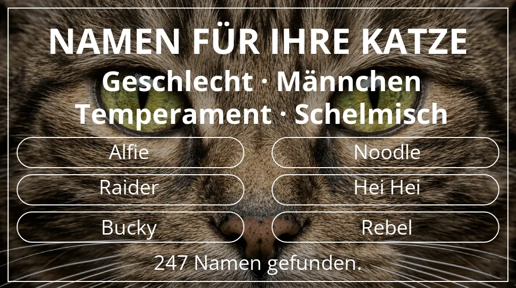 Katzennamen passend zu geschlecht männchen und temperament schelmisch
