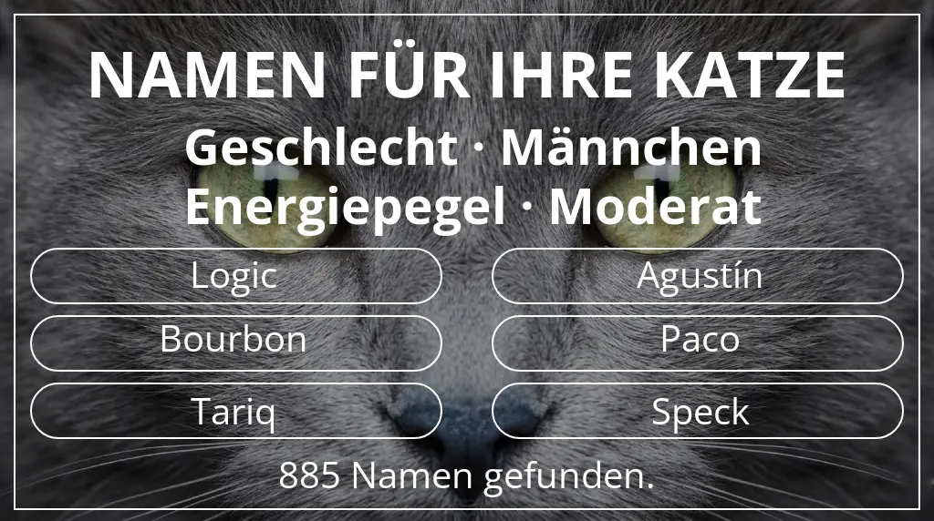 Katzennamen basierend auf geschlecht männchen und energiepegel moderat