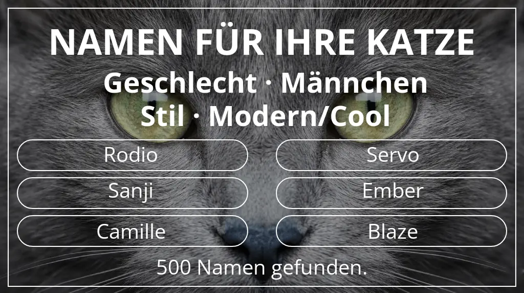 Namen für Katzen inspiriert von geschlecht männchen und stil modern/cool