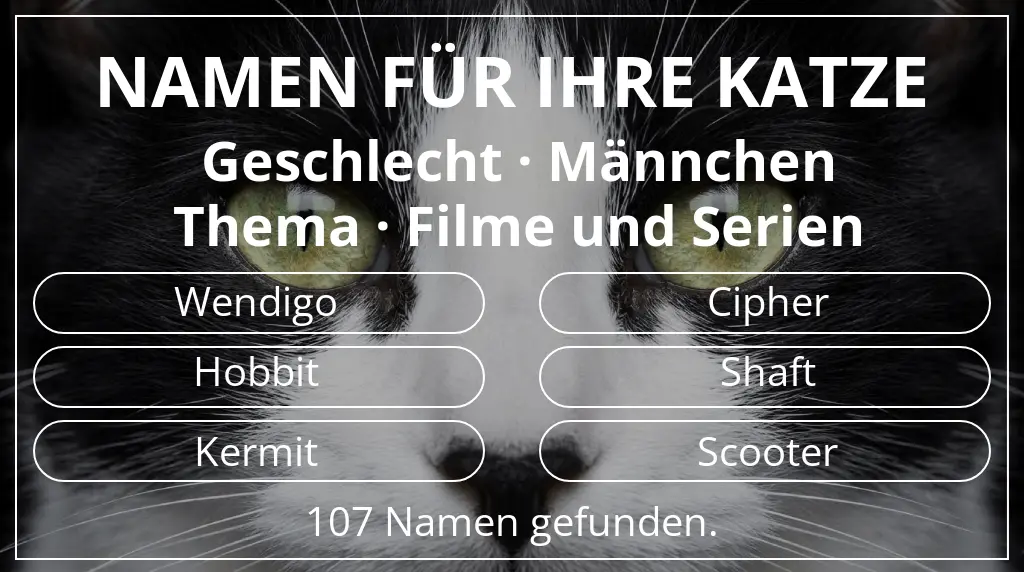 Katzennamen passend zu geschlecht männchen und thema filme und serien