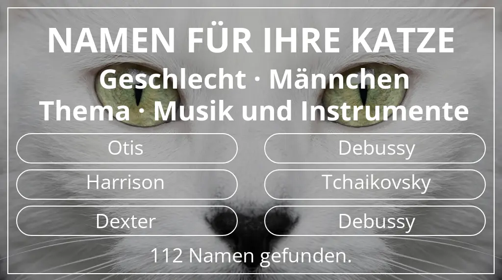 Namen für Katzen basierend auf geschlecht männchen und thema musik und instrumente