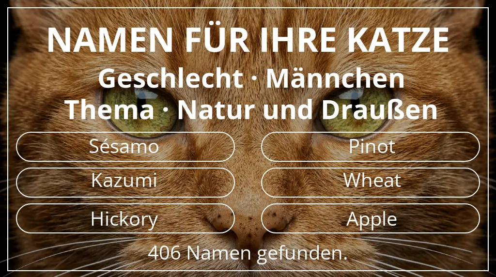 Katzennamen passend zu geschlecht männchen und thema natur und draußen