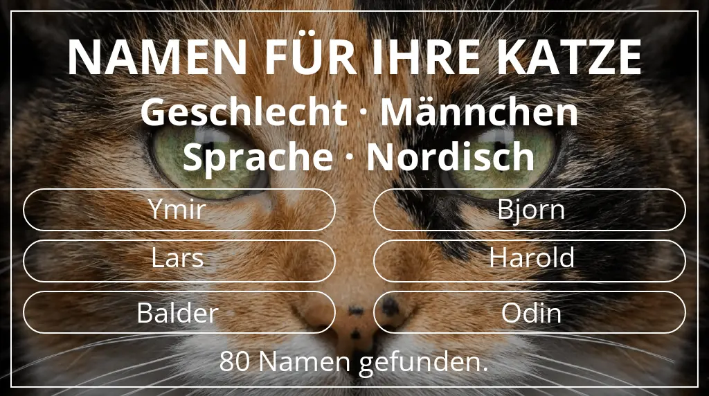 Katzennamen passend zu geschlecht männchen und sprache nordisch