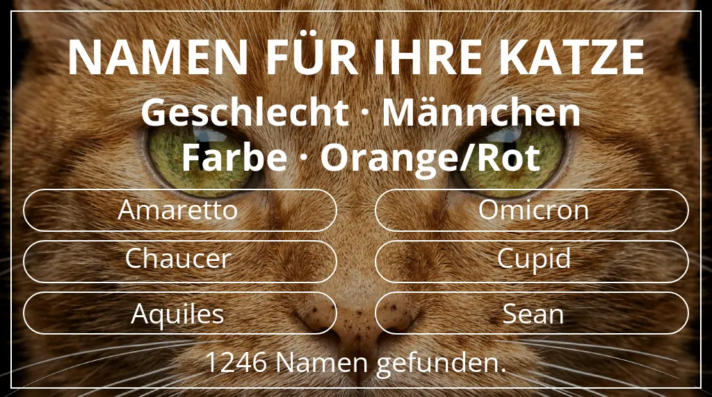 Namen für Katzen basierend auf geschlecht männchen und farbe orange/rot