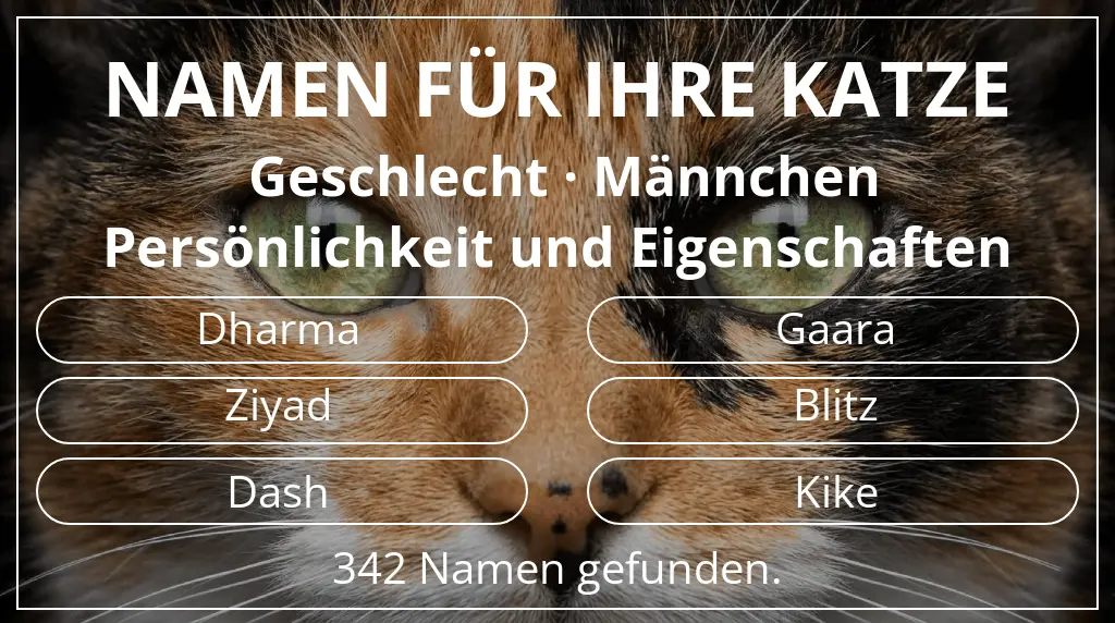 Namen für Katzen passend zu geschlecht männchen und thema persönlichkeit und eigenschaften