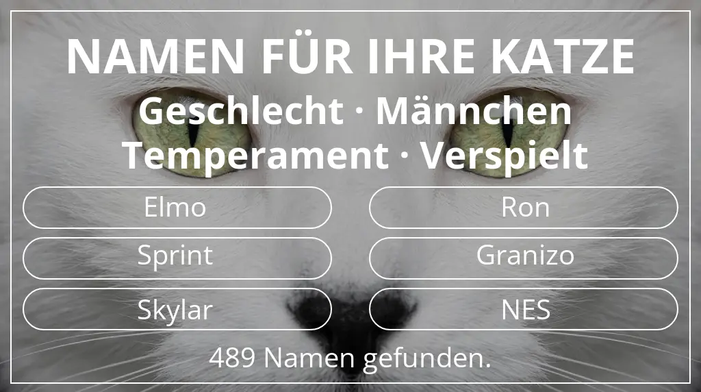 Katzennamen passend zu geschlecht männchen und temperament verspielt