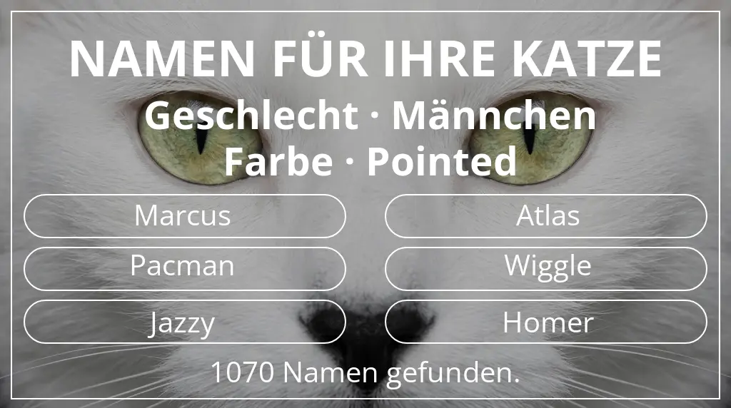 Namen für Katzen basierend auf geschlecht männchen und farbe pointed