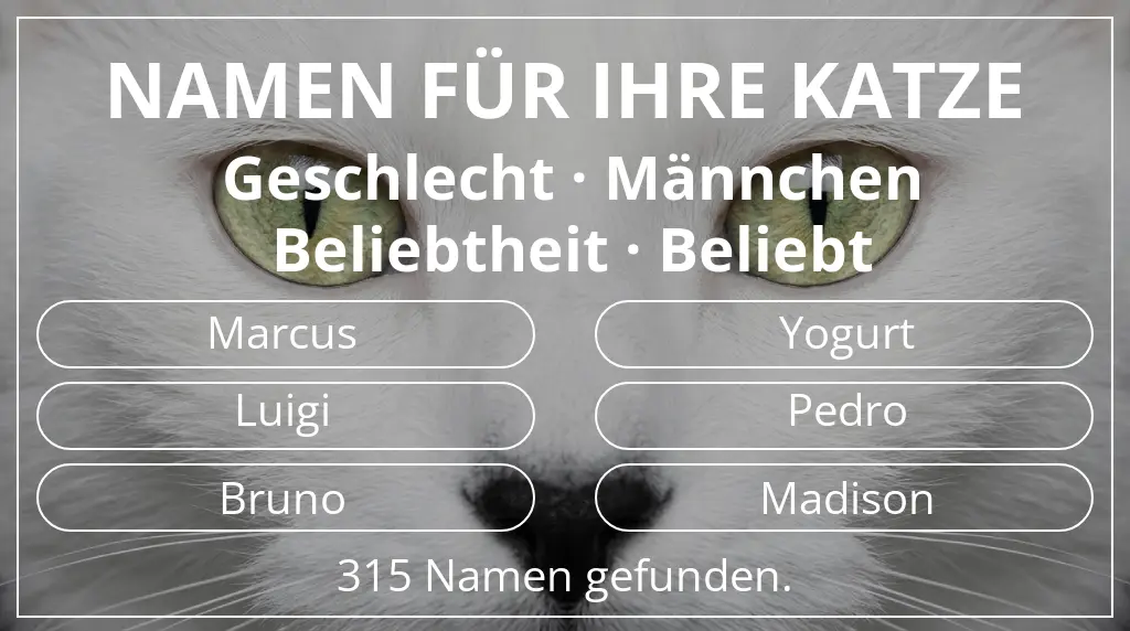 Katzennamen basierend auf geschlecht männchen und beliebtheit beliebt