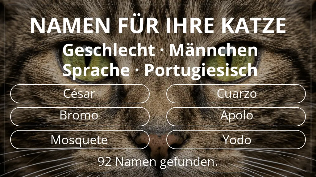 Katzennamen inspiriert von geschlecht männchen und sprache portugiesisch