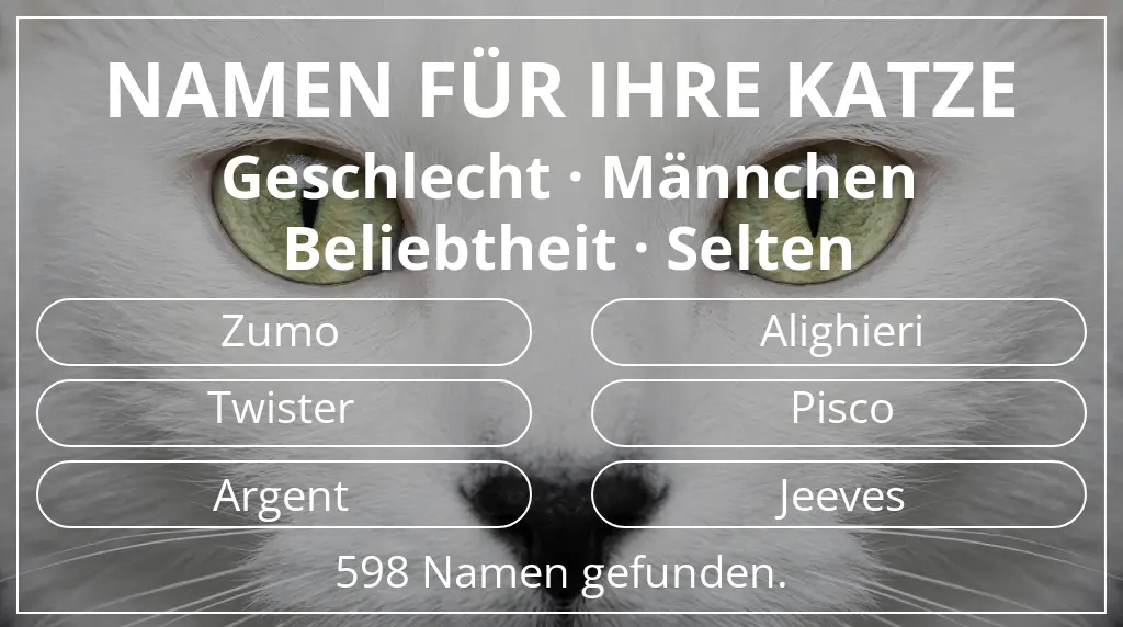 Namen für Katzen basierend auf geschlecht männchen und beliebtheit selten