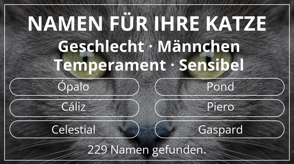 Katzennamen basierend auf geschlecht männchen und temperament sensibel