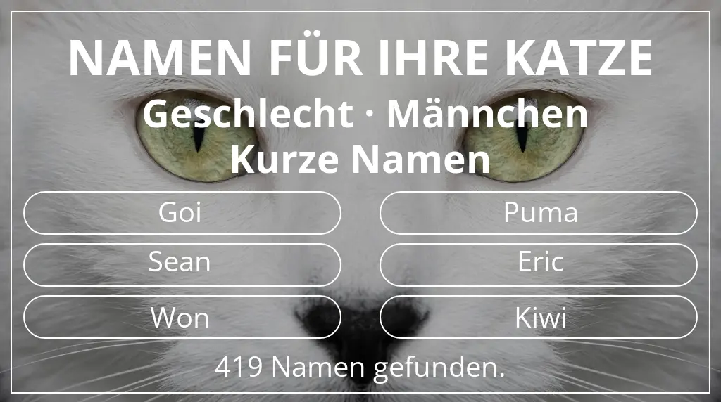 Namen für Katzen basierend auf geschlecht männchen und namenslänge kurz (2–4)