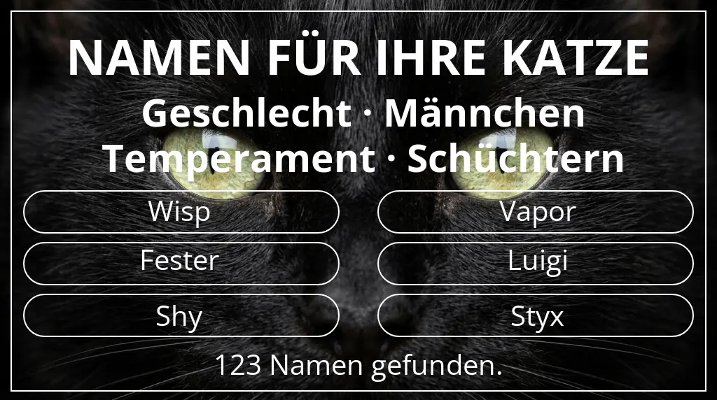 Katzennamen inspiriert von geschlecht männchen und temperament schüchtern