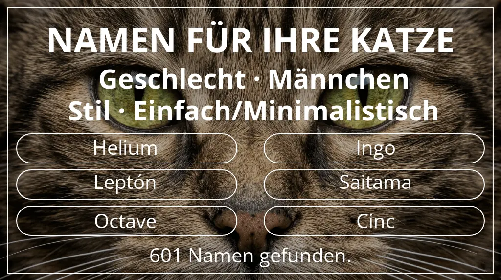 Namen für Katzen passend zu geschlecht männchen und stil einfach/minimalistisch