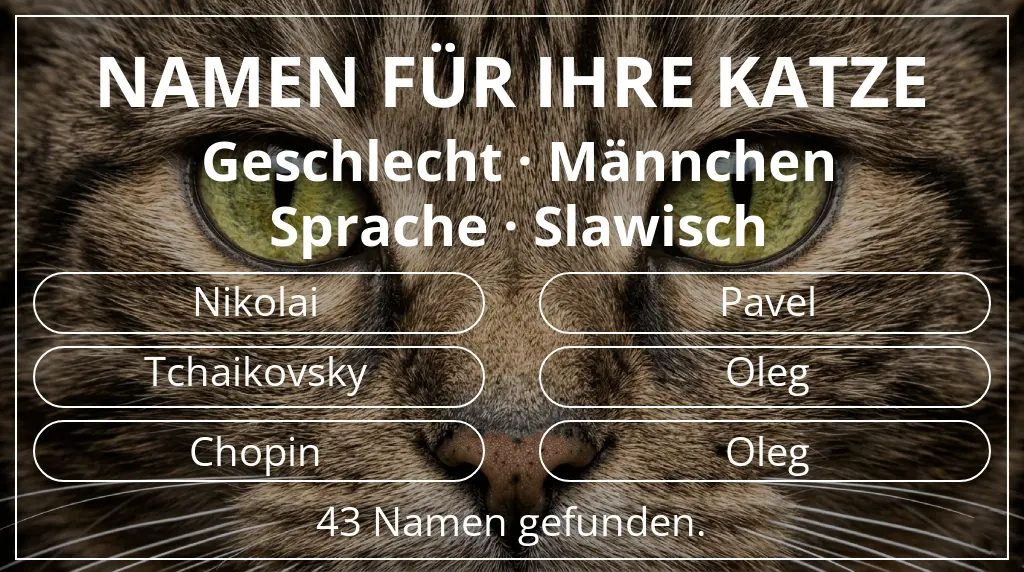 Namen für Katzen basierend auf geschlecht männchen und sprache slawisch