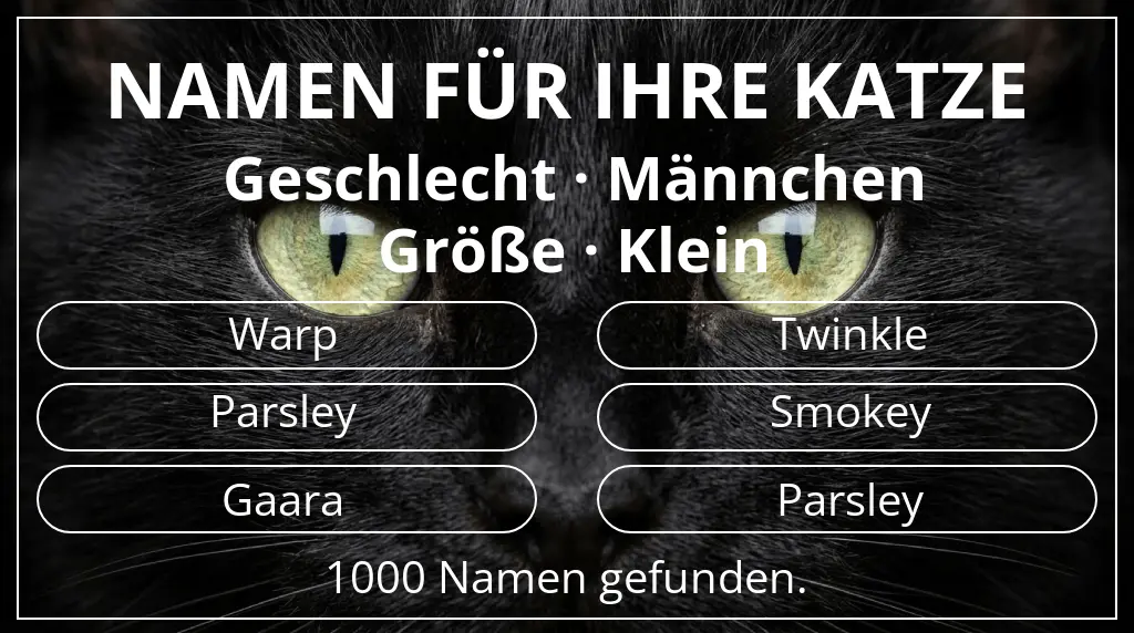Namen für Katzen passend zu geschlecht männchen und größe klein