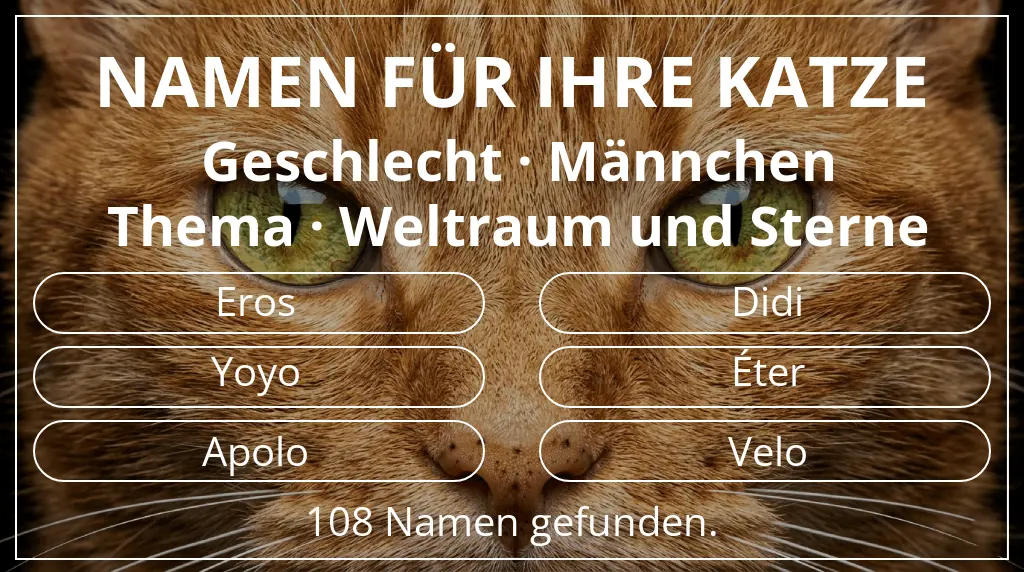 Katzennamen passend zu geschlecht männchen und thema weltraum und sterne