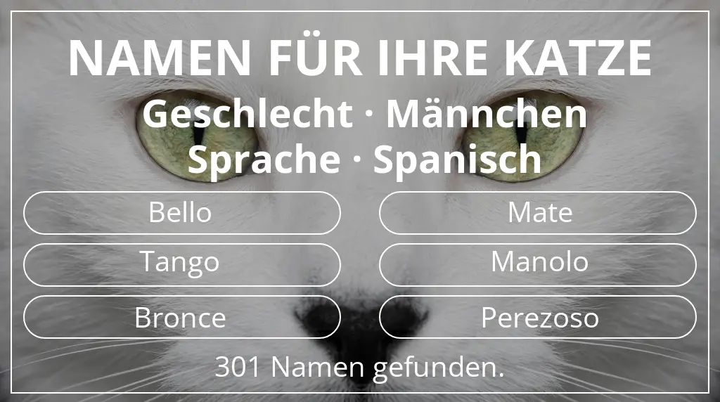 Namen für Katzen basierend auf geschlecht männchen und sprache spanisch
