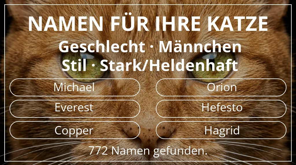 Namen für Katzen inspiriert von geschlecht männchen und stil stark/heldenhaft