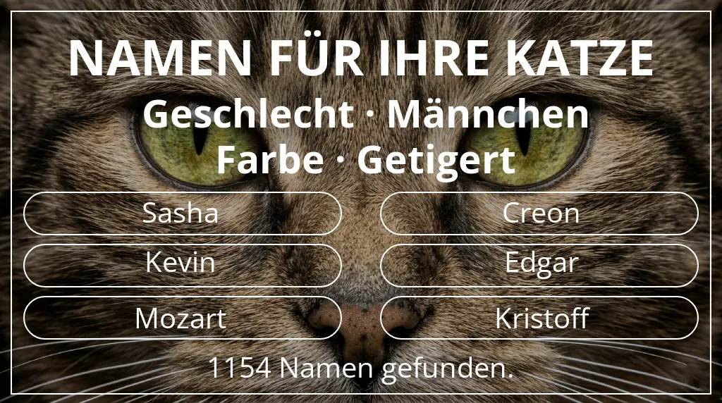 Katzennamen inspiriert von geschlecht männchen und farbe getigert