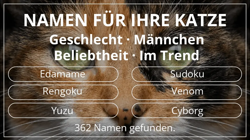 Katzennamen inspiriert von geschlecht männchen und beliebtheit im trend