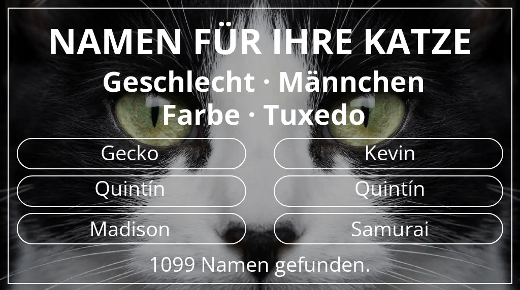 Namen für Katzen basierend auf geschlecht männchen und farbe tuxedo