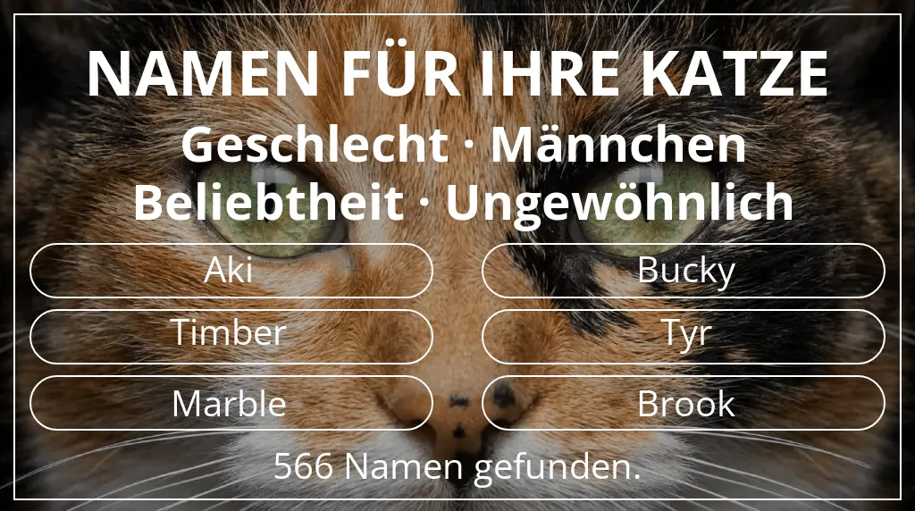 Katzennamen passend zu geschlecht männchen und beliebtheit ungewöhnlich