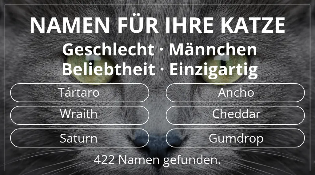 Katzennamen passend zu geschlecht männchen und beliebtheit einzigartig