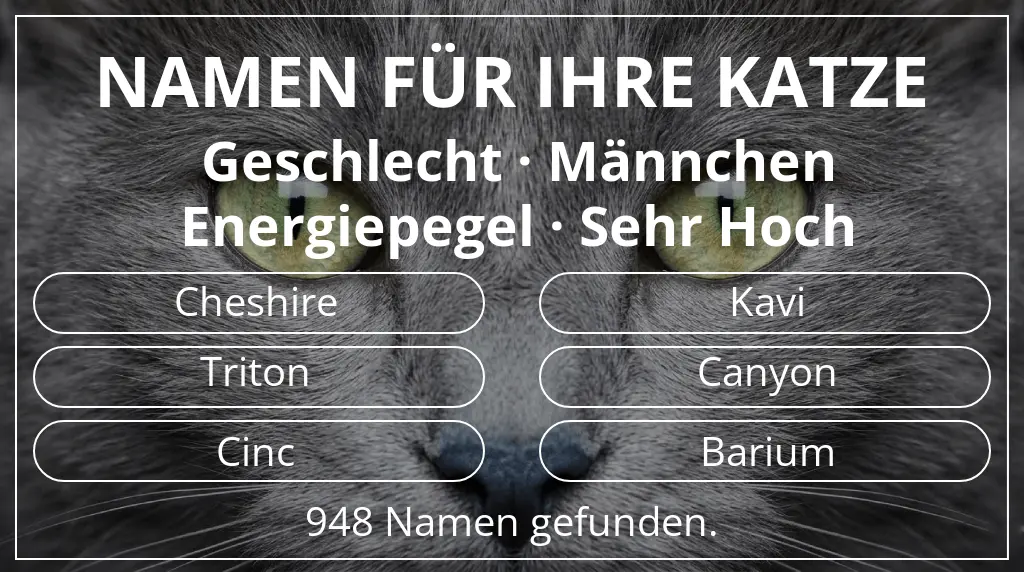 Namen für Katzen basierend auf geschlecht männchen und energiepegel sehr hoch