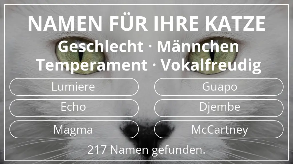 Namen für Katzen inspiriert von geschlecht männchen und temperament vokalfreudig