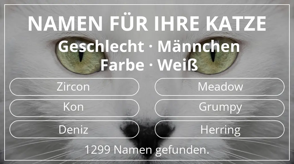 Katzennamen basierend auf geschlecht männchen und farbe weiß