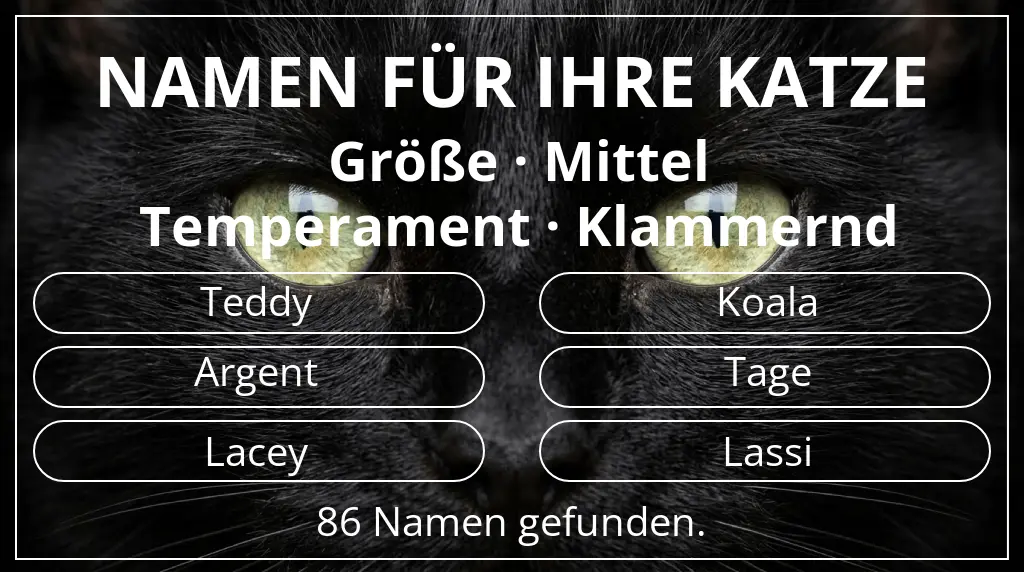 Katzennamen inspiriert von größe mittel und temperament klammernd