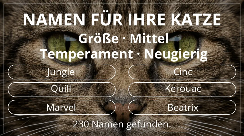 Katzennamen basierend auf größe mittel und temperament neugierig