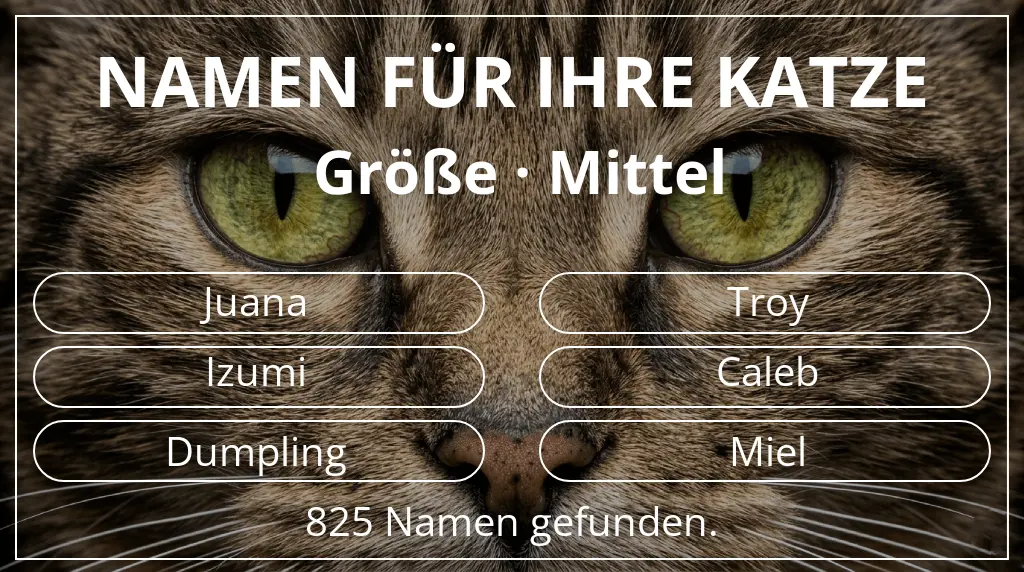 Katzennamen basierend auf größe mittel