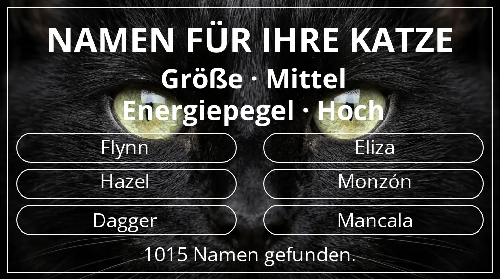 Namen für Katzen passend zu größe mittel und energiepegel hoch