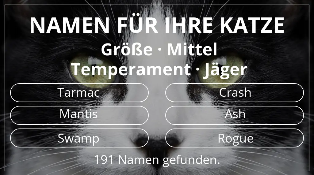 Namen für Katzen inspiriert von größe mittel und temperament jäger