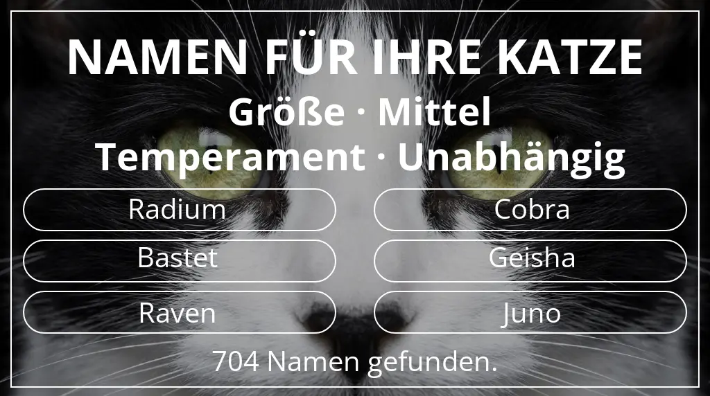 Katzennamen inspiriert von größe mittel und temperament unabhängig