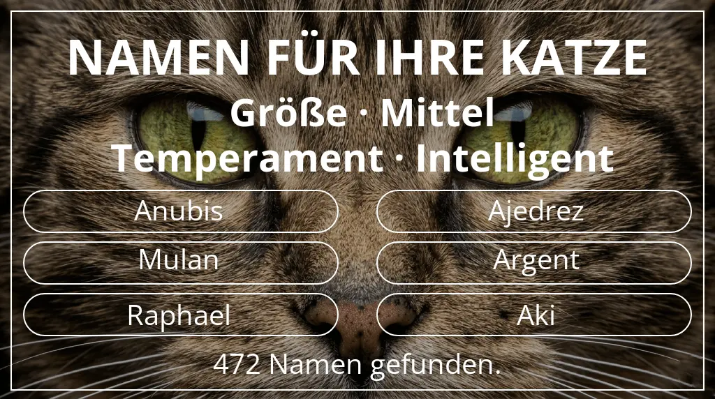 Katzennamen inspiriert von größe mittel und temperament intelligent